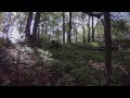BMG At High Performance Paintball