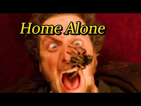 Home Alone，A child, cleverly fighting two foolish thieves, launches a house defense battle