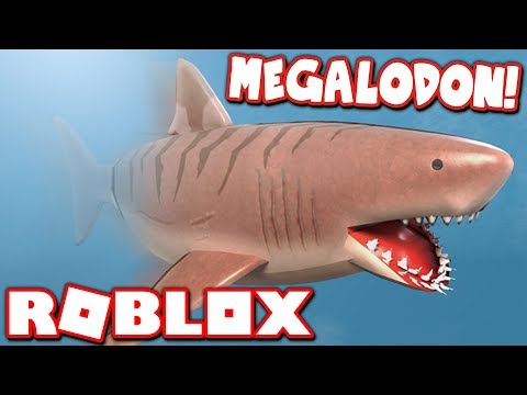 Sharkbite Roblox Hacks | Sites To Earn Free Robux