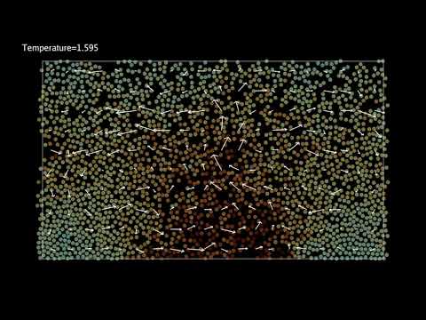 基礎理工学科 Rayleigh-Benard convection in 2D space by molecular dynamics simulation using Lenard-Jones particles