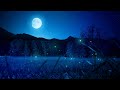 1 Hour Calming Sleep Music Stress Relief Music Insomnia Relaxing Sleep Music My Dream