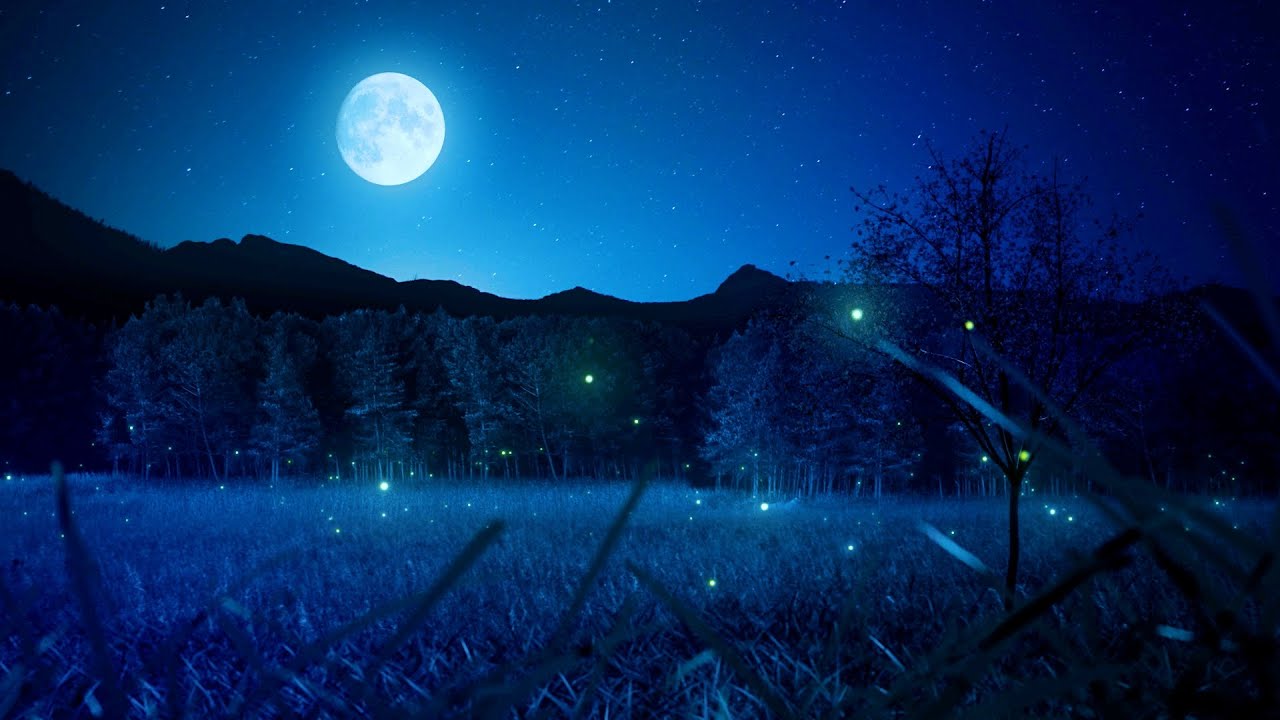 1 Hour Calming Sleep Music 🎵 Stress Relief Music, Insomnia, Relaxing Sleep Music (My Dream)