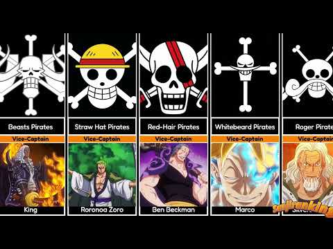ALL VICE CAPTAINS of One Piece
