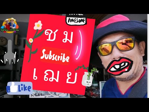 คลิกเพื่อดูคลิปวิดีโอ