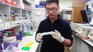 Kỹ thuật giải trình tự DNA