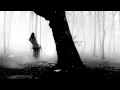 Secret Garden - Frozen in Time