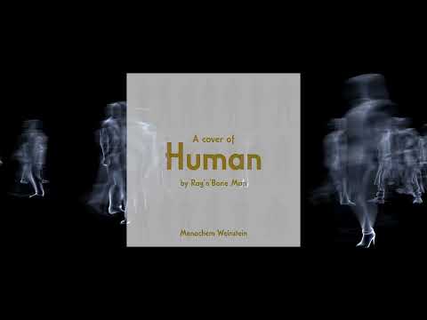 Menachem Weinstein - Human (Cover)