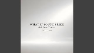 Download lagu What It Sounds Like (Demo Version) mp3