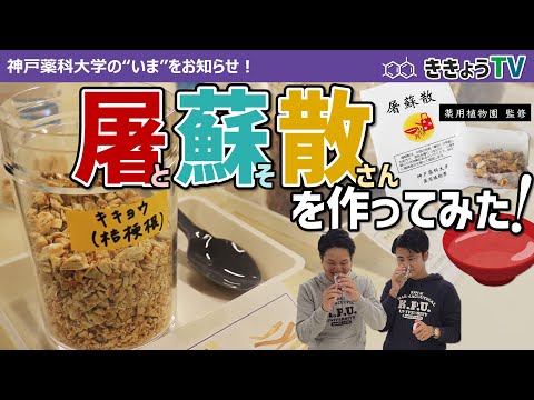 【ききょうTV】屠蘇散を作ってみた！