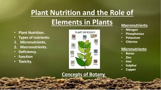Plant Nutrients| Micro and Macronutrients| Function,Deficiency,Toxicity|Urdu/Hindi|Concept of Botany