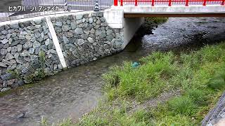 氷川橋映像監視局