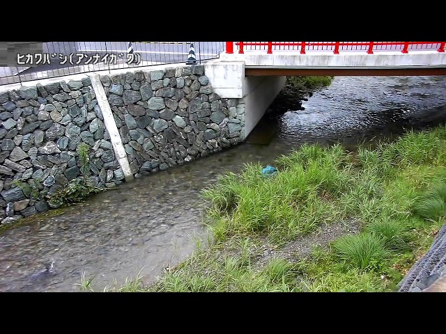 氷川橋映像監視局