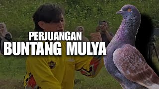 Download lagu MERPATI BINTANG MULYA'S STRUGGLE TOWARDS 1ST PLACE IN THE 500 MILLION EVENT mp3