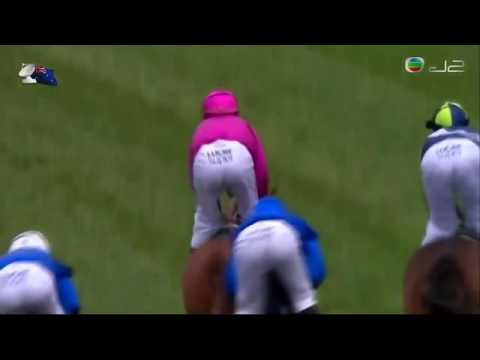 2015 The Coolmore Stud Stakes (Ascot Vale Stakes) G1 - Japonisme (東藝西流) - G.Schofield