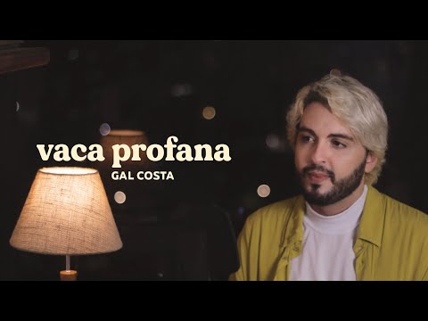 Vaca Profana - Gal Costa | versão cover