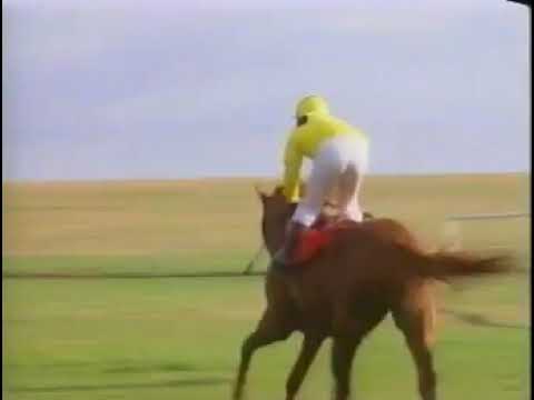 Newmarket Review 19-10-1991