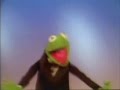 Muppets Kermit Happy Feet