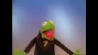 Muppets - Kermit - Happy feet