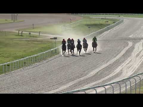 2023.07.02 9. FUTAM - EQUINE PRODUCTS HENDIKEP (II.O.) (SZINTETIKUS PÁLYA)