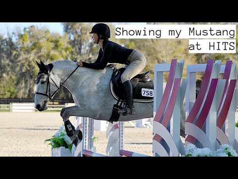 Showing my jumper Mustang at HITS!
