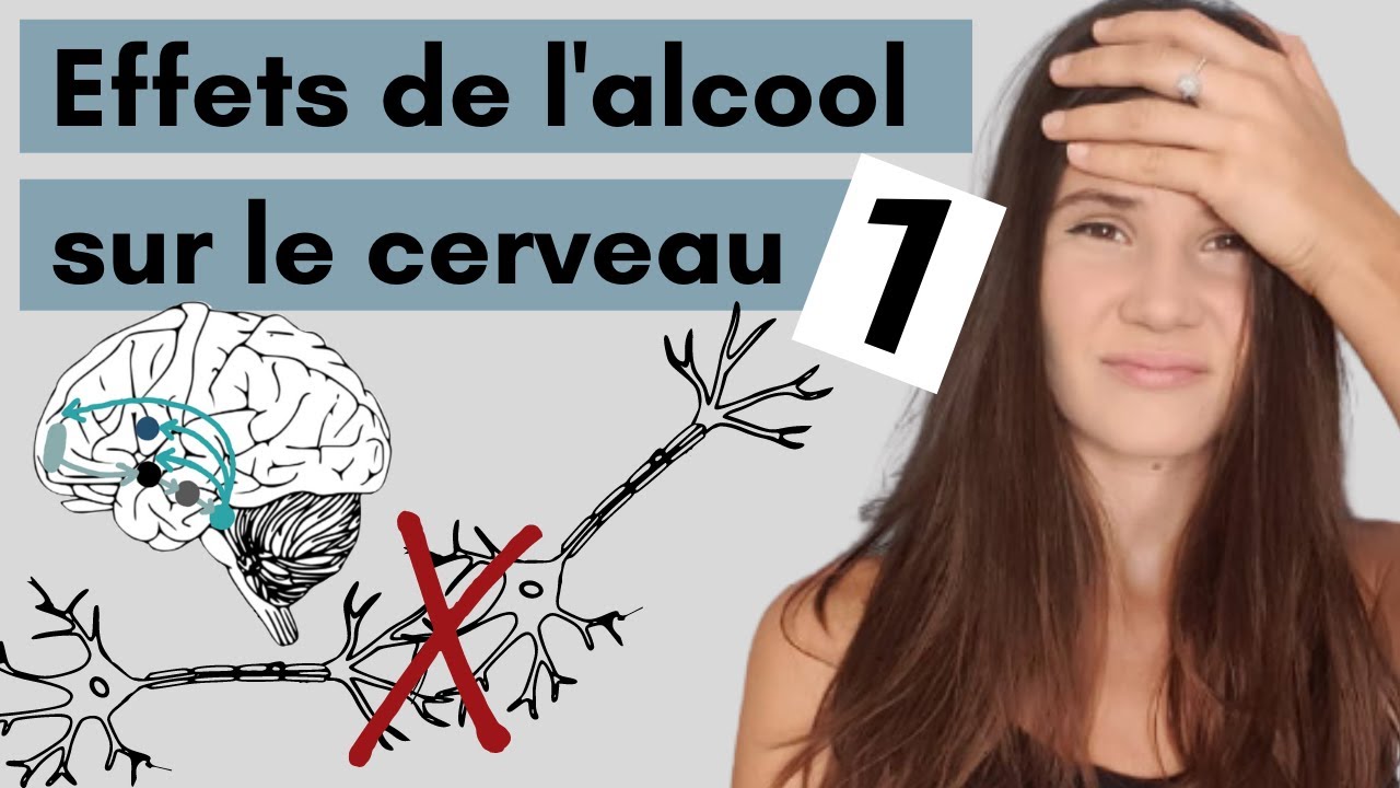 Les effets de l'alcool sur le cerveau PARTIE 1