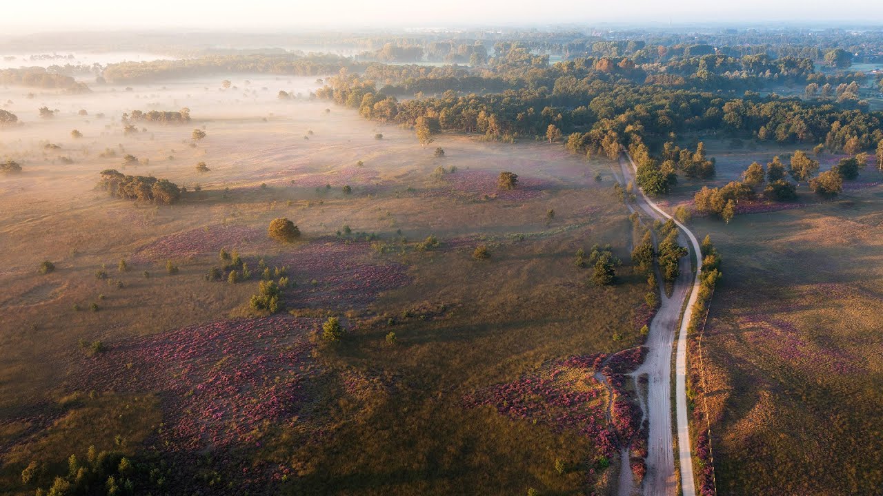 Dit is de Groote Heide