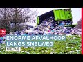Ongeluk met vrachtwagen & 23 schapen dood door wolf of hond | Drenthe Nu