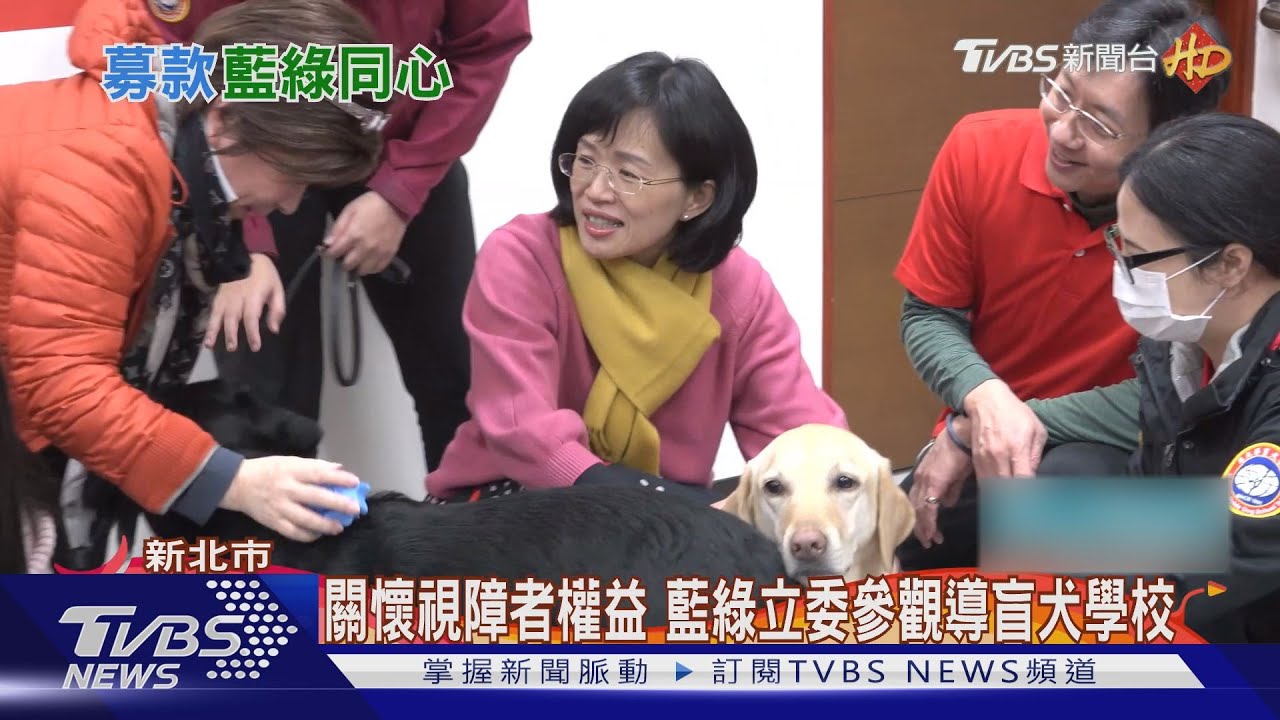 牽導盲犬「暴衝」 蘇巧慧:以為是我爸在拉我