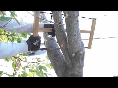 Testing homemade folding bucksaw