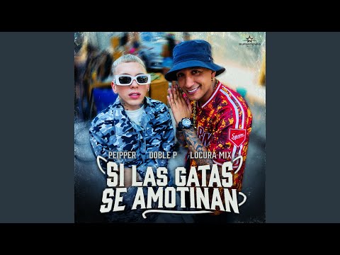 Si Las Gatas Se Amotinan