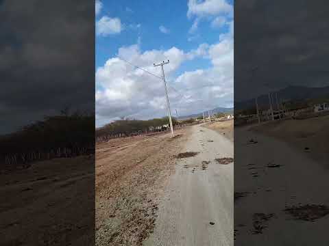 UMA BELEZA DO NOSSO SERTÃO – ASSENTAMENTO ARRAIA