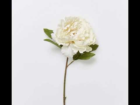 Brownii - “Sweat” @prodbyx0