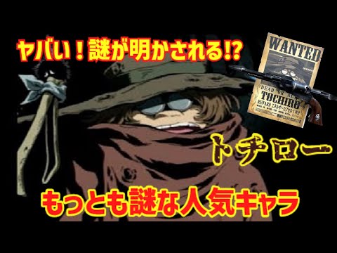 王立マンティコラン艦隊について詳しく解説
