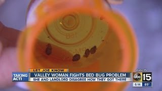 Understanding your rights when it comes to bed bugs?