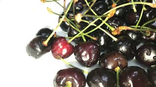 How To Plant Black Cherry