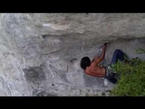 The Cyfra Trip - Tarn