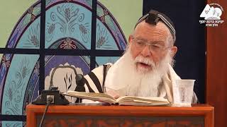 האם יכול לומר קריאת שמע בעל פה | הרב אליקים לבנון | הלכות תפילת שחרית | 16 (ישיבת ברכת יוסף - אלון מורה) - התמונה מוצגת ישירות מתוך אתר האינטרנט יוטיוב. זכויות היוצרים בתמונה שייכות ליוצרה. קישור קרדיט למקור התוכן נמצא בתוך דף הסרטון