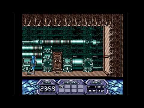 Final Day, The picture