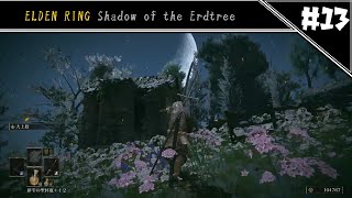 美しい夜　[ELDEN RING DLC#13]