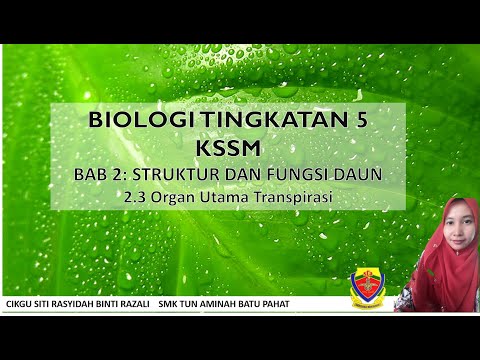 BIOLOGI TINGKATAN 5: ORGAN UTAMA TRANSPIRASI