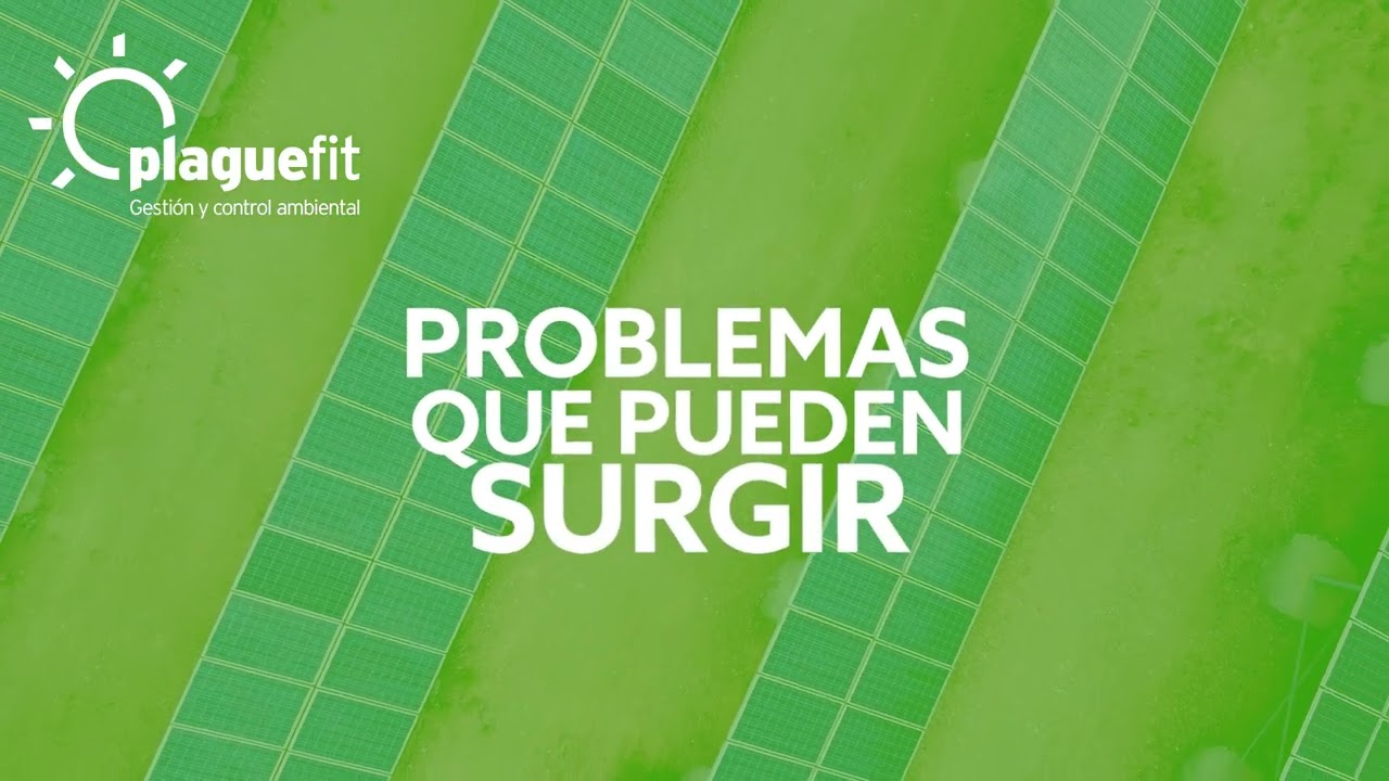 Desbroce de zonas de difícil acceso en huertos solares