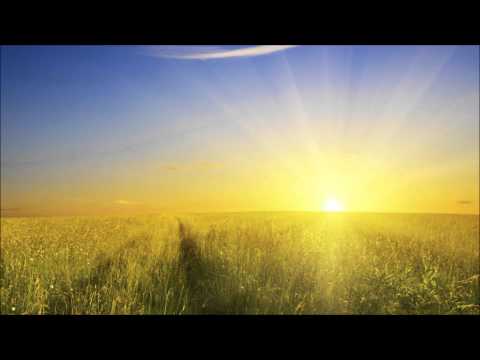 Tomaz vs. Filterheadz - Sunshine (The Scumfrog Remix)