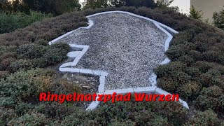 Ringelnatzpfad Wurzen