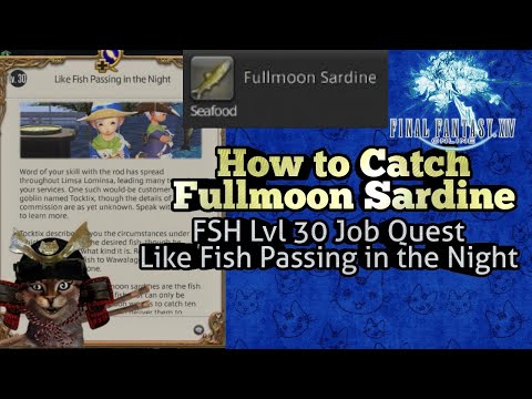 How to Catch Fullmoon Sardine FFXIV FSH Job Quest lvl 30