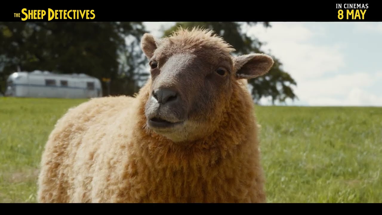 THE SHEEP DETECTIVES - Clues Kids | Exclusively In Cinemas 8 May