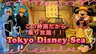 今だから乗り放題Disney！