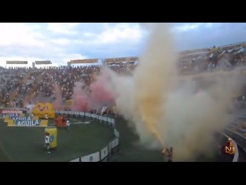 "REVOLUCION VINOTINTO SUR 2016 (TOLIMA VS MILLONARIOS)" Barra: Revolución Vinotinto Sur &bull; Club: Tolima