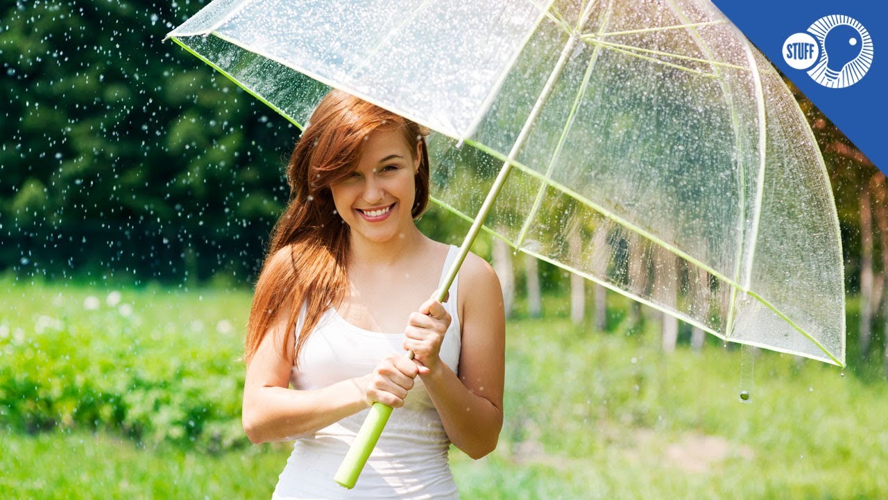 Better, Faster, Stronger... Meet the Modern Umbrella