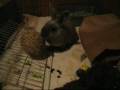 Samantha S First Night