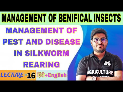 importance of beneficial insects management of benifical insects bsc agriculture 5th sem